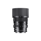 65mm F2 DG DN