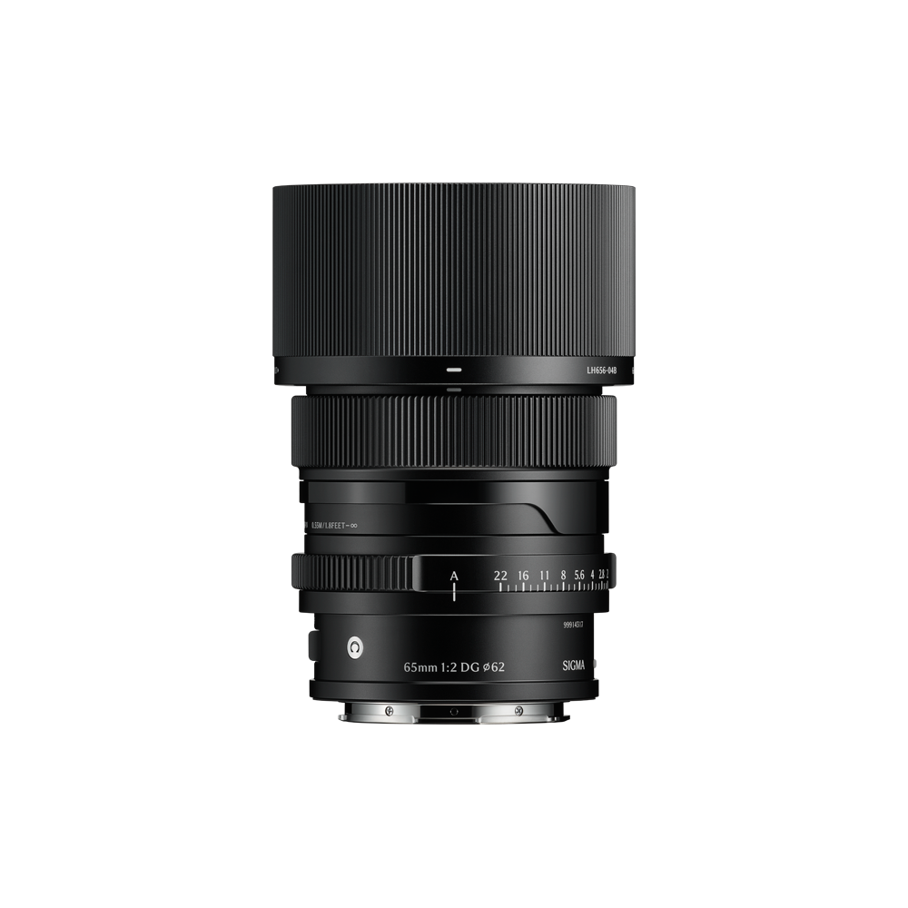 65mm F2 DG DN