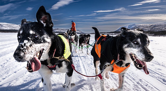 In a race against daylight | SIGMA 10-18mm F2.8 DC DN | Contemporary on Fjällräven Polar 2024